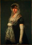 Francisco de Goya Joven dama con mantilla y basquina Germany oil painting artist